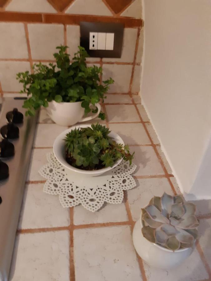 Donna Lucrezia Dimora A Corte B&B Κονβερσάνο Εξωτερικό φωτογραφία